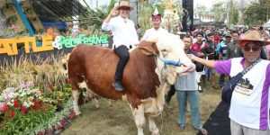 Jelang Idul Adha, Banyuwangi Gelar Cattle and Pets Festival
