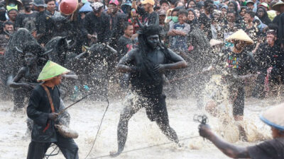 The attraction of the Alasmalang Kebo-Keboan Tradition