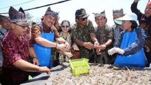 Banyuwangi Gelar Festival Udang di Atas Batu