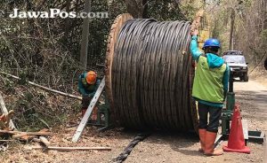 PLN Network in Alas Purwo Installed, Plengkung Beach Will Be Bright Soon