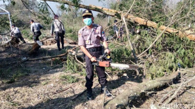 Personel TNI Polri Bersihkan Sisa Kebakaran TWA Kawah Ijen