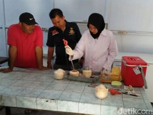 Polisi Gerebek Produsen Minuman Kelapa Muda Jelly Berformalin