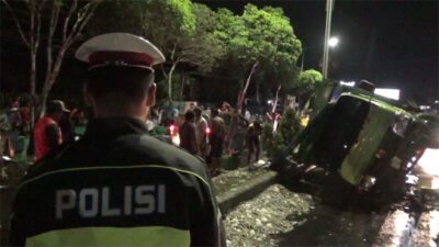 Truk Terguling, 3 Ton Udang Tumpah ke Jalan