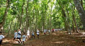 Serunya Berlari di Tengah Kawasan Geopark Alas Purwo Banyuwangi