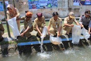 Warga Cluring Sulap Sungai Penuh Sampah Jadi Lokasi Wisata
