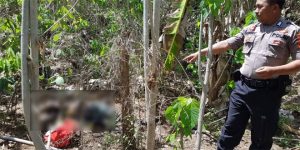 The discovery of a body in the garden made Rogojampi residents stir