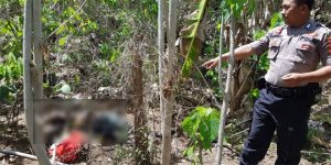 Penemuan Mayat di Kebun Gegerkan Warga Rogojampi