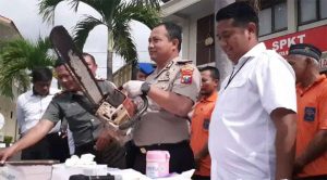 Polisi Tangkap 6 Pelaku Illegal Logging, 9 Lainnya Masih Buron