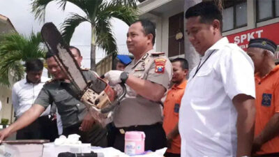 Polisi Tangkap 6 Pelaku Illegal Logging, 9 Lainnya Masih Buron