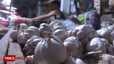 Garlic Prices in Banyuwangi Skyrocketed, Translucent Rp 70 Thousand per Kilogram