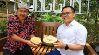 Worried about the spread of Covid-19, Banyuwangi Durian Can Be Ordered Online