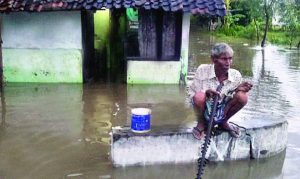 Rain 7 Jam, Dozens of Flooded Houses