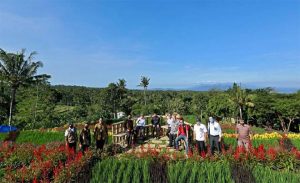 Agro Wisata Tamansuruh, Destinasi Banyuwangi Siap Sambut New Normal