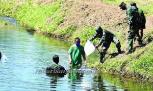 Marinir Tebar Ribuan Benih Ikan Air Tawar