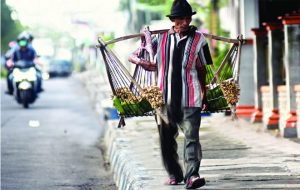 Pedagang Kacang Olehsari Siap Kembali ke Bali
