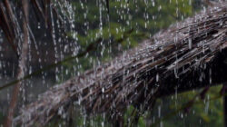 Banyuwangi-Berpotensi-Turun-Hujan-Lebat