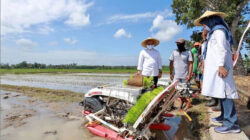 Bupati-Anas-Dorong-Petani-Manfaatkan-Alsintan-Optimalkan-Hasil-Pertanian