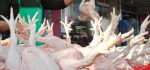Before Eid al-Adha, Harga Ayam di Pasar Makin Mahal