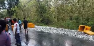 Pikap Terguling, Lemuru Tumpah di jalan