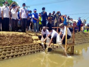 Wabup Sugirah Tebar 1000 Ikan Di Desa Macan Putih