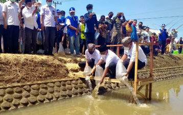 Wabup Sugirah Tebar 1000 Ikan Di Desa Macan Putih