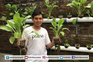 Galakkan Berkebun dengan Gelas Bekas