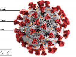 Satu Siswa di Banyuwangi Terpapar Virus Corona