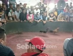 Kerumunan Pengajian Dibubarkan, Kerumunan Perjudian Dibiarkan