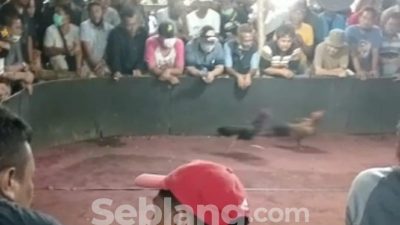 Kerumunan Pengajian Dibubarkan, Kerumunan Perjudian Dibiarkan