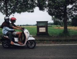 “in the cherry”, The Tradition of Searching for a Match in the Style of the Osing Tribe in Banyuwangi During the Prophet's Birthday