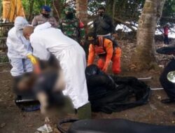 A corpse floats in Klatakan Jembrana wearing a T-shirt from the Archipelago Massage Association