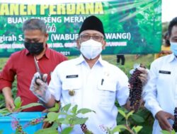 Wakil Bupati Banyuwangi Sugirah Positif COVID-19