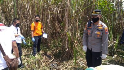 Ada Bekas Jeratan, Mayat yang Ditemukan di Kebun Tebu Banyuwangi Korban Pembunuhan