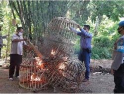 Polisi Bakar Arena Judi Sabung Ayam