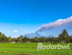 Volcanic Ash Can Fertilize the Soil in the Long Term