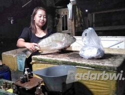 Cuaca Buruk, Ikan Langka, Harga Pun Melambung