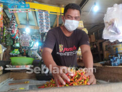 Duh! Harga Cabai Rawit Hampir Setara Daging Sapi