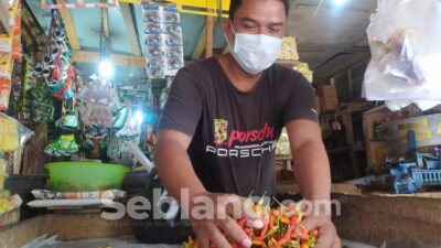 Duh! Harga Cabai Rawit Hampir Setara Daging Sapi