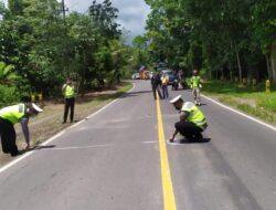 Terlibat Adu Banteng di Jalan Raya Jember Banyuwangi, Pengendara Asal Lumajang Meninggal Dunia