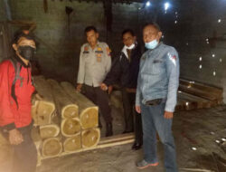 53 Illegal Teak Timber Confiscated from Residents' Warehouse in Banyuwangi