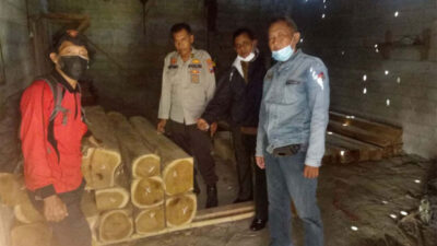 53 Batang Kayu Jati Ilegal Disita dari Gudang Milik Warga di Banyuwangi