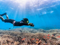 6 Snorkeling Spot in Banyuwangi, The Charm of the Underwater Makes You Not Blink!