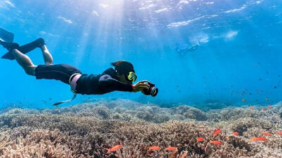 6 Spot Snorkeling di Banyuwangi, Pesona Bawah Lautnya Bikin Gak Kedip!