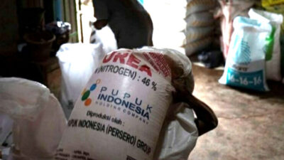 Urea Fertilizer Allocation, NPK and Liquid Organic in Banyuwangi Reduced