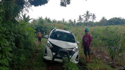 Revealed, Mobil Misterius di Tepi Sawah Banyuwangi Ternyata Terlibat Kasus Tabrak Lari