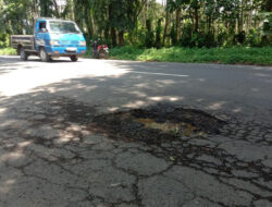 Potholes in Banyuwangi Nearly Eat Victims