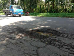 Jalan Berlubang di Banyuwangi Nyaris Makan Korban