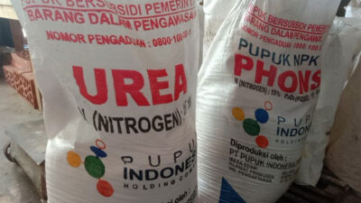 Jual 2 Ton Pupuk Subsidi ke Situbondo, Ketua Kelompok Tani di Banyuwangi Diciduk Polisi