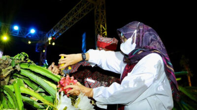 Becoming the National Largest Dragon Fruit Supplier, Banyuwangi Degree “Dragon Fruit Festival”