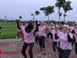 Serunya Aerobik Emak-emak di Tengah Sawah Embung Kenitu Banyuwangi